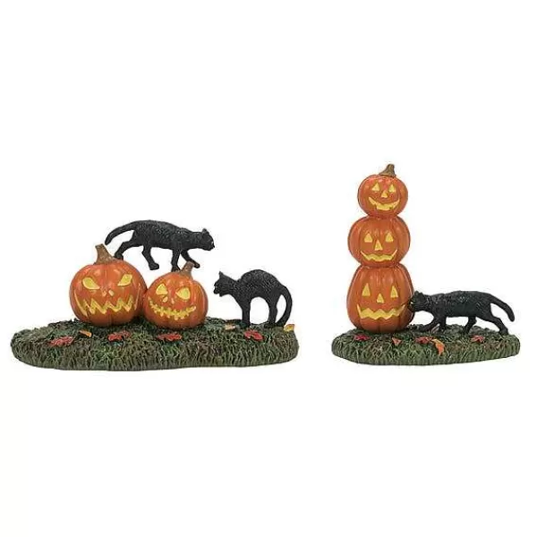 Department 56 Village Halloween Accessories<Scary Cats Pumpkins St/2